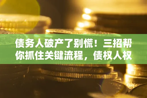 北京债务人破产了别慌！三招帮你抓住关键流程，债权人权益不再缩水