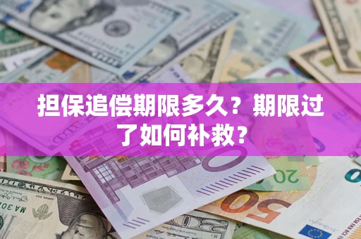 北京担保追偿期限多久？期限过了如何补救？
