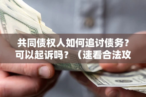 北京共同债权人如何追讨债务？可以起诉吗？（速看合法攻略）